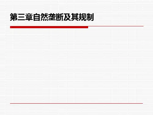 第三章  自然垄断及其规制  《政府经济学》PPT课件