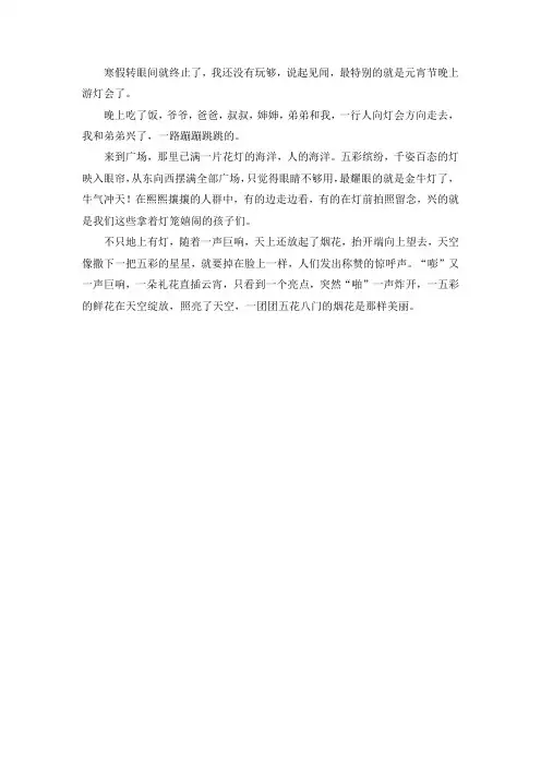 三年级的寒假见闻怎么写
