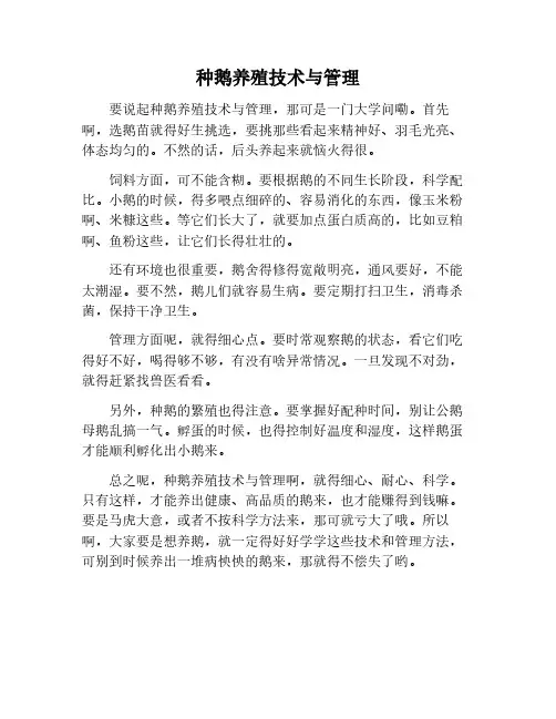 种鹅养殖技术和管理