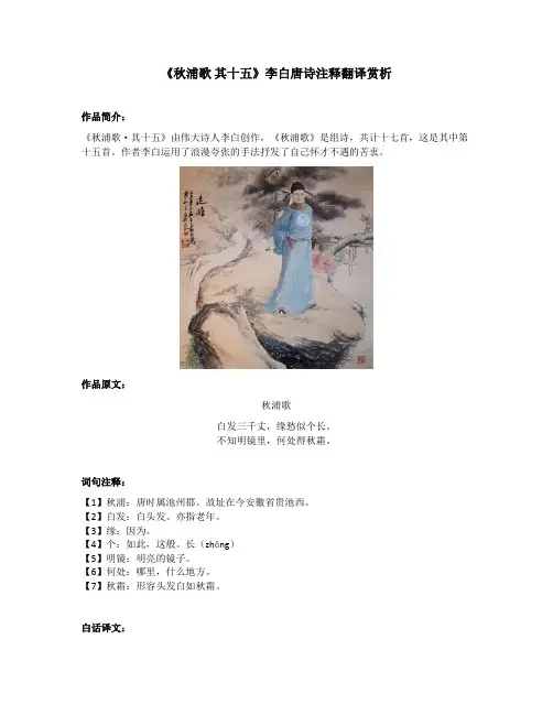 《秋浦歌 其十五》李白唐诗注释翻译赏析
