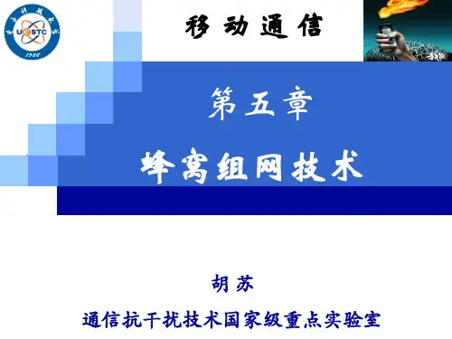 移动通信_第五章_蜂窝组网技术