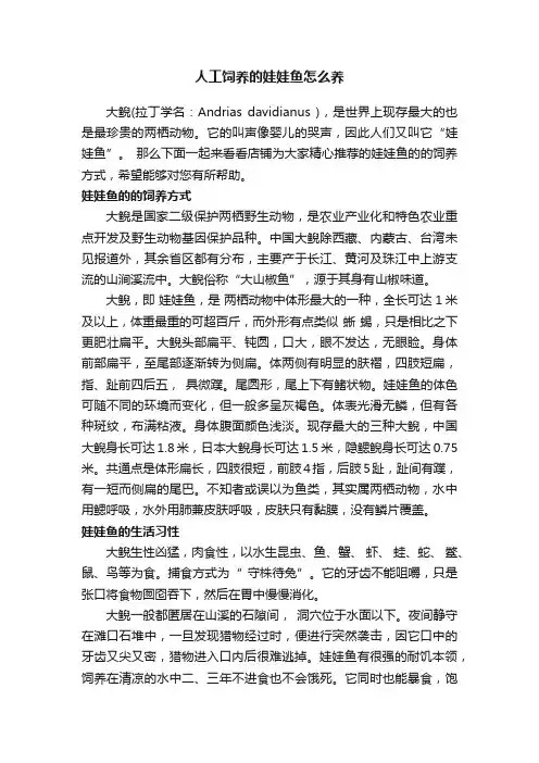 人工饲养的娃娃鱼怎么养
