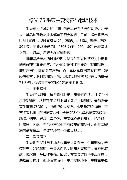 绿光75毛豆主要特征与栽培技术