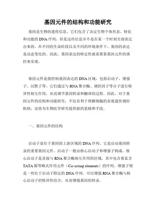 基因元件的结构和功能研究