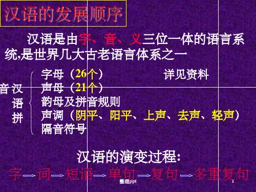 现代汉语语法结构讲解