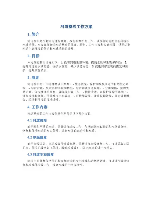 河道整治工作方案