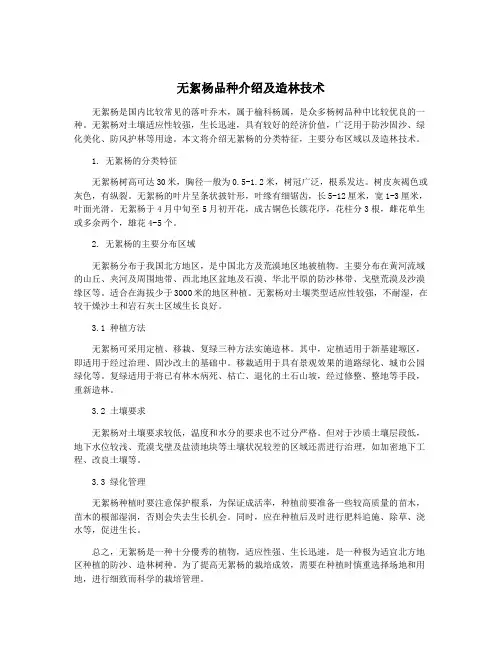 无絮杨品种介绍及造林技术