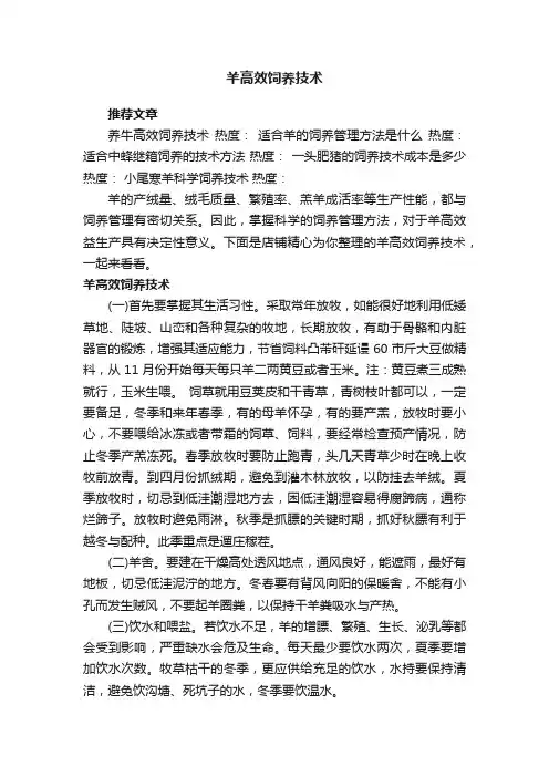 羊高效饲养技术