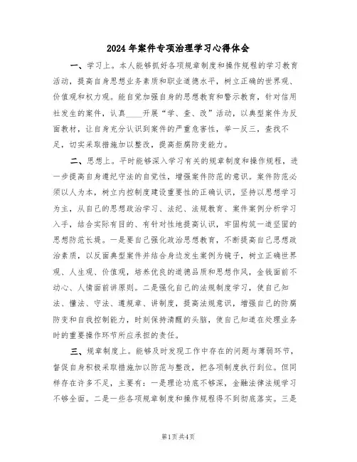 2024年案件专项治理学习心得体会(2篇)