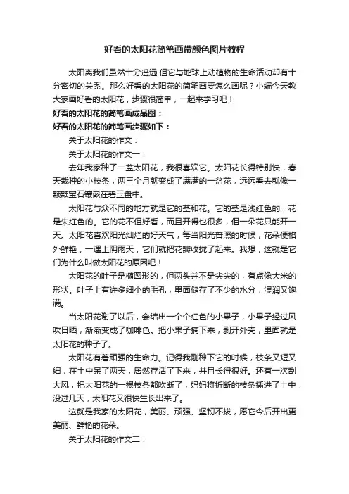 好看的太阳花简笔画带颜色图片教程