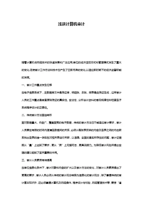 浅谈计算机审计