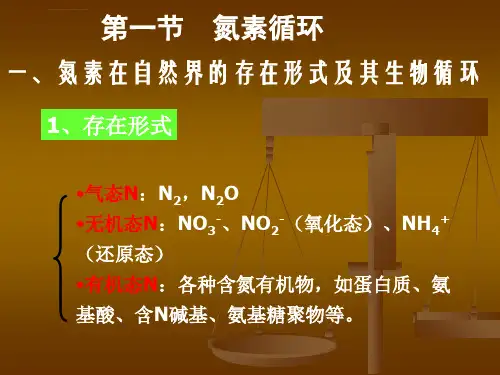 微生物生态学6氮素循环和有机氮矿化ppt课件