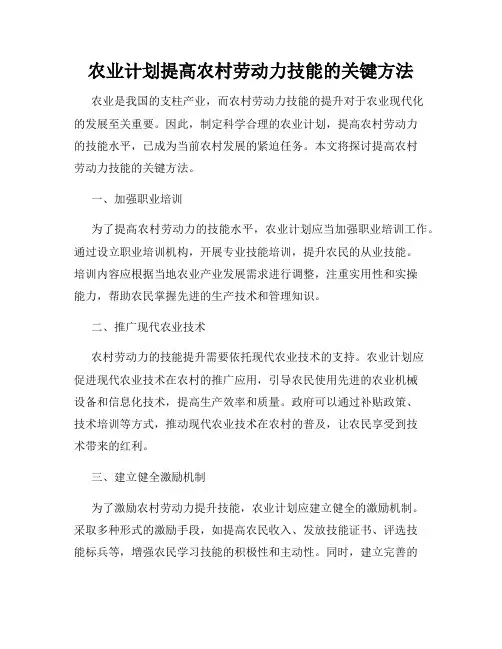 农业计划提高农村劳动力技能的关键方法