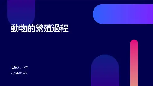 动物的繁殖过程