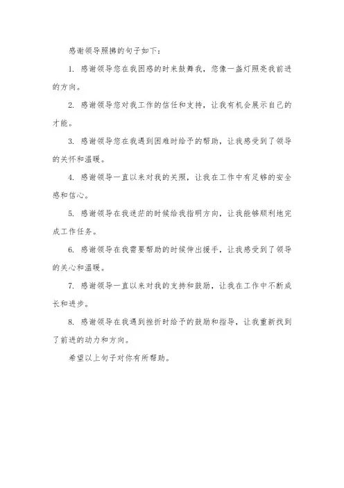 谢谢领导照拂的句子