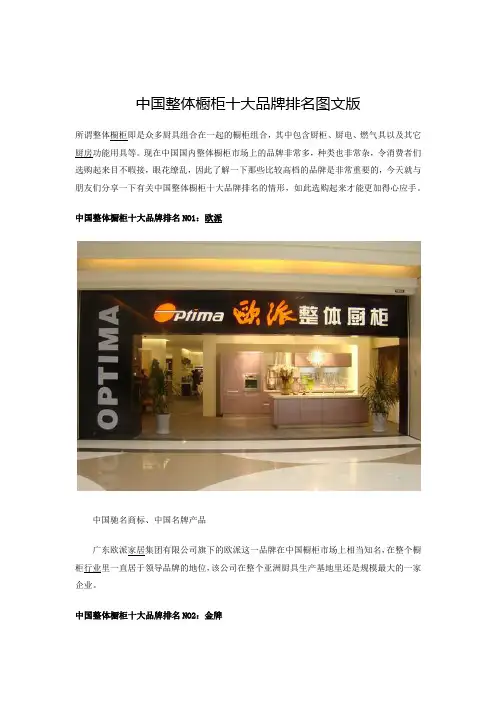 中国整体橱柜十大品牌排名