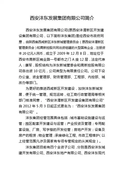 沣东发展集团简介
