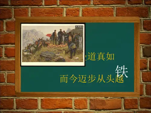 铁PPT(说课) 人教版