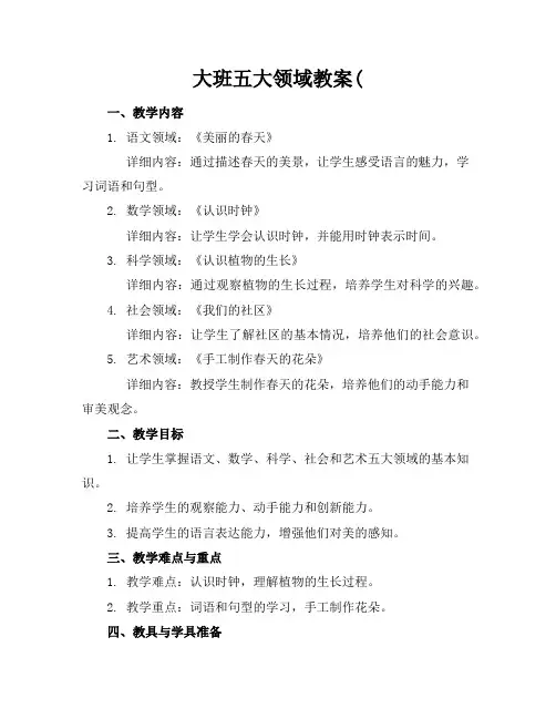 大班五大领域教案(