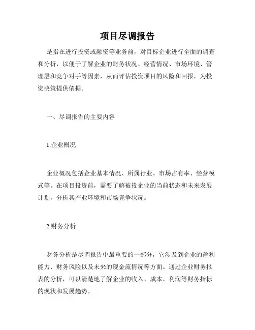 项目尽调报告