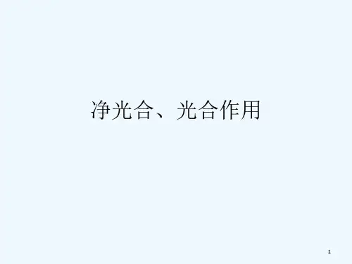 光合作用重点知识详尽讲解 PPT