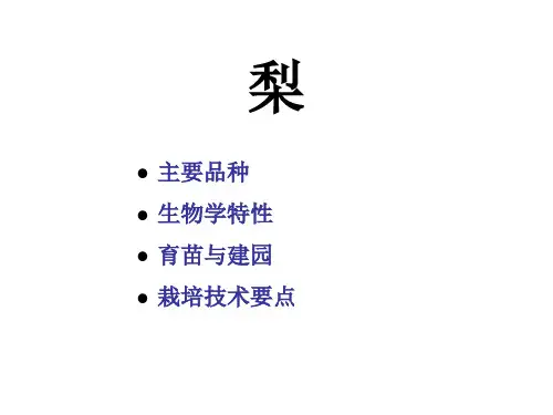 梨