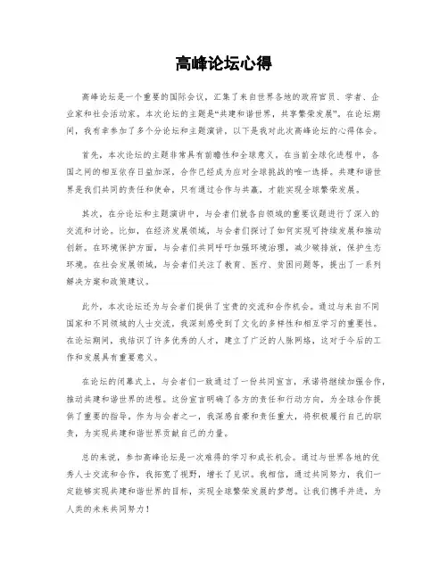 高峰论坛心得