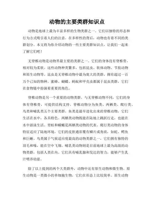 动物的主要类群知识点