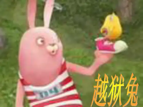 越狱兔