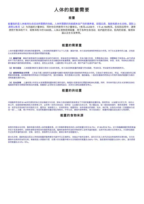 人体的能量需要