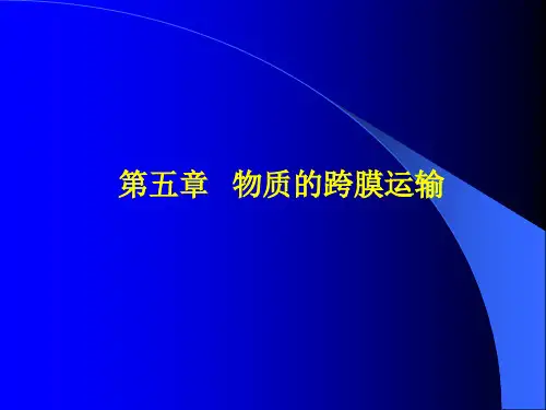 第五章 物质的跨膜运输