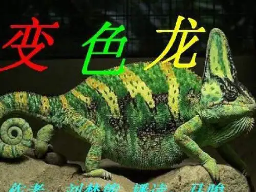苏教版五年级语文上册《变色龙》PPT课件
