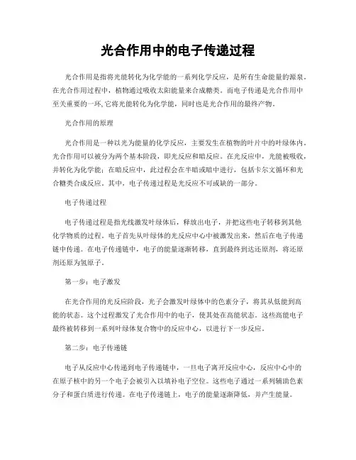 光合作用中的电子传递过程