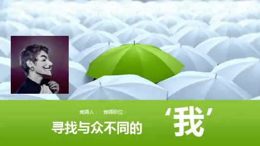 个人简历PPT经典模板 (4)