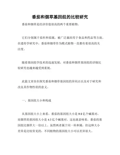 番茄和烟草基因组的比较研究