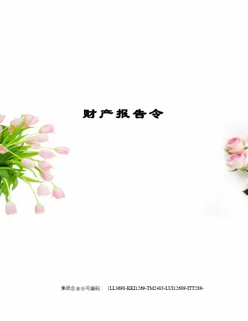 财产报告令精编版