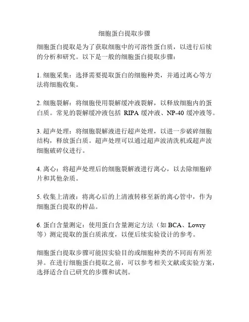 细胞蛋白提取步骤