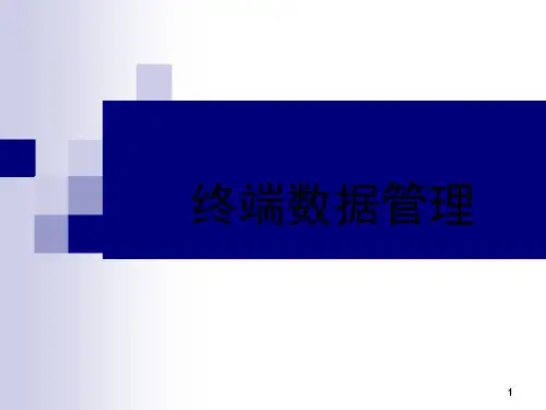 终端店铺数据管理-ppt课件