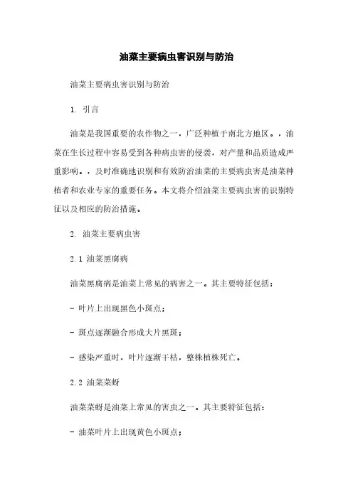 油菜主要病虫害识别与防治