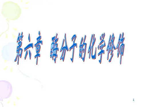 酶分子的修饰