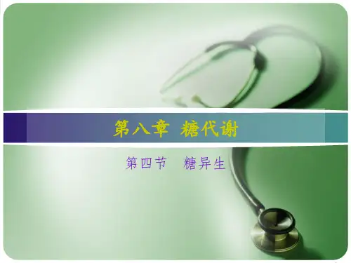 糖异生