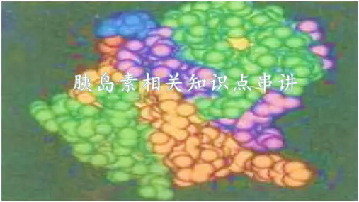 胰岛素全集