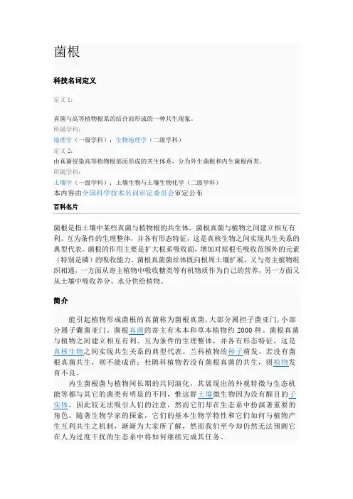 菌根1