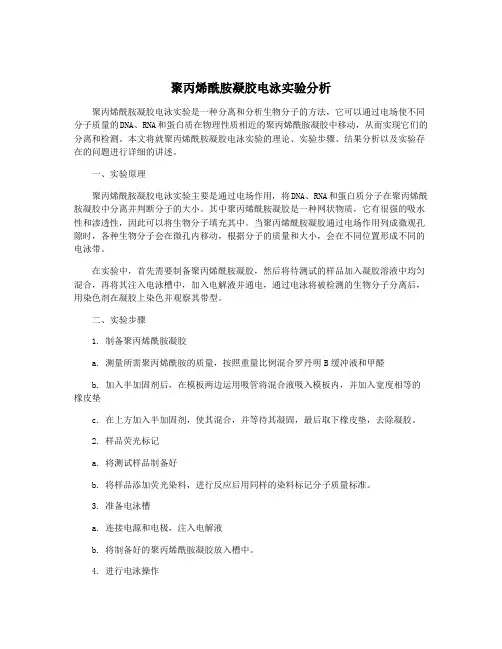 聚丙烯酰胺凝胶电泳实验分析