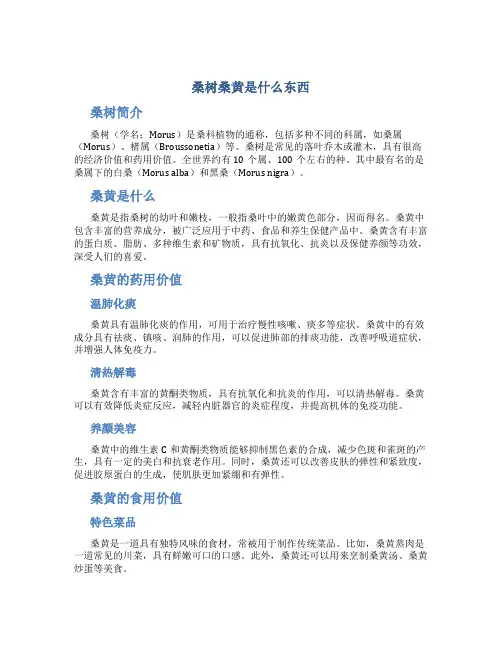 桑树桑黄是什么东西