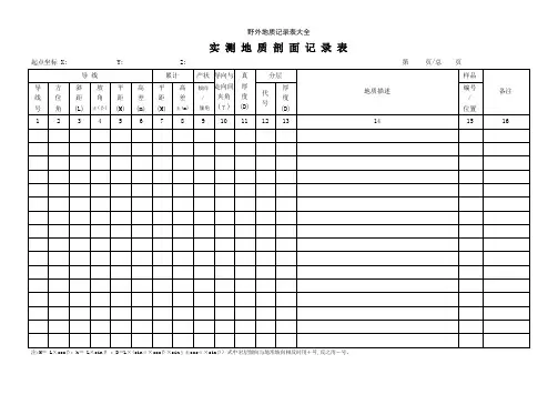 野外地质记录表大全