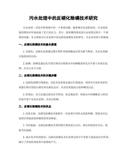 污水处理中的反硝化除磷技术研究