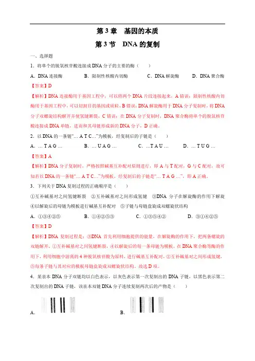 高中生物第二册 3 3 DNA的复制 练习((含答案)