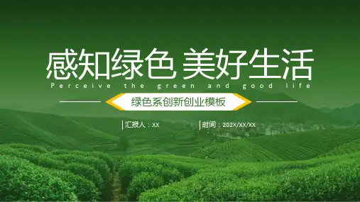 乡村振兴农业项目创新创业大赛ppt模板
