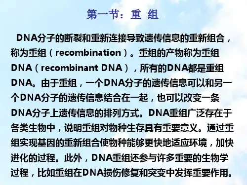 同源重组PPT95页